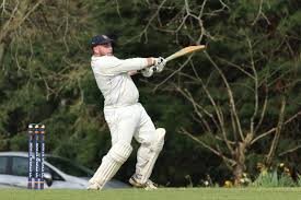 Image result for Ingatestone & Fryerning Cricket Club
