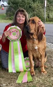 Image result for Carlisle BloodHounds