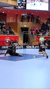 Image result for Basingstoke Demons Floorball Club