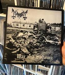 Attēlu rezultāti vaicājumam “Diderma montanum var. album stalked”