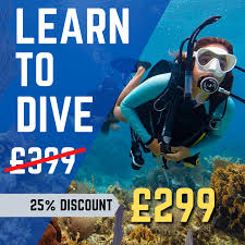 Image result for Aquanauts Dive Centre Sunderland