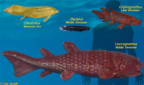 Attēlu rezultāti vaicājumam “Laccognathus panderi”