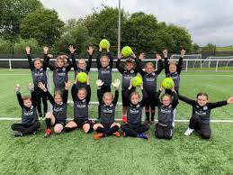 Image result for Harrysmuir Bowling Club