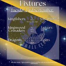 Image result for Monmouth Netball Club