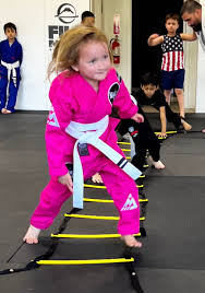 Image result for Taunton Karate Jutsu