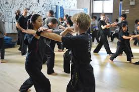 Image result for Kicking Dragon Kung Fu School, Belfast