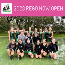 Image result for Palmers Green Netball Club