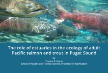 Image result for Salvelinus confluentus