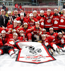 Image result for Streatham Night Wolves Ice Hockey Team