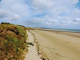 Image result for Wansbeck Gc