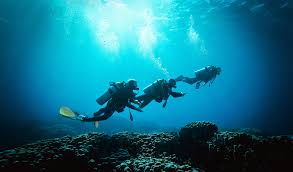 Image result for Blue Water Diving