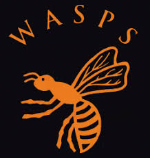 Image result for Wasps Football Club