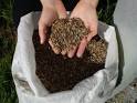 TAS GLOBAL SEEDS ll Pasture, Fodder, Seed, Grass, Clover, Legumes