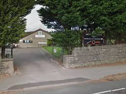 Image result for Dalton Arlfc