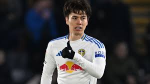 Image result for City of Leeds Basketball Club