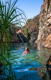 Billedresultat for kakadu n...