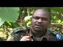 Uganda Intensifies Their Hunt