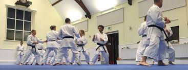 Image result for Bristol Karate Club