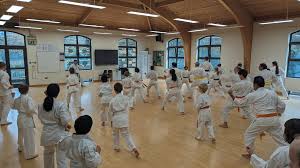 Image result for Orpington Shotokan Karate Club
