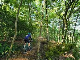 Image result for Bogtrotters Mountain Bike Club