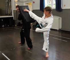 Image result for Bytomic Tae Kwon Do Guildford