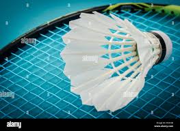 Image result for Greenmeadow Badminton Club