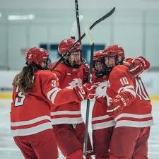 Image result for York University Street Hockey Club