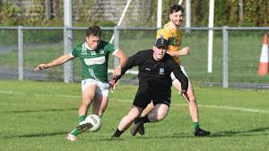 Image result for Patrick Sarsfield Gaelic Athletic Club