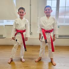 Image result for Reading Wado Kai Karate Club