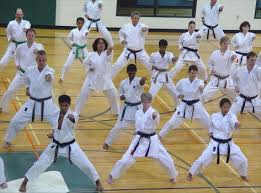 Image result for York University Karate Club