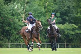 Image result for Liverpool Equestrian Club