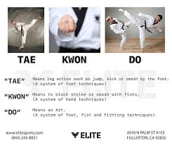 Image result for Tae-jitsu