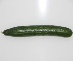 Image result for Gurke