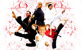 Image result for Championship Martial Arts Winter Springs