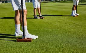 Image result for Bristol Croquet Club