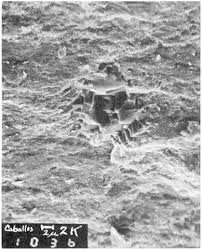 Image result for SEM micrographs of Novaculite Arkansas