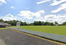 Image result for Morpeth Junior Cricket Club
