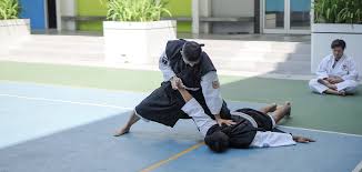 Image result for Durham University Shorinji Kempo Society Club