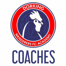 Image result for Dorking Wanderers F C