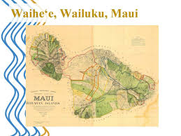 「VHAPUNI　MAO」の画像検索結果