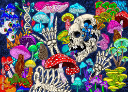Image result for psychedelic posters