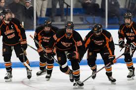 Image result for New Milton Hockey Club