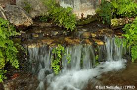 Image result for Dearne Valley Devils