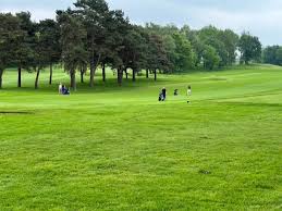 Image result for Betchworth Park Golf Club