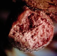 Attēlu rezultāti vaicājumam “Lycogala persicum macro”