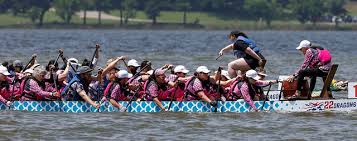 Image result for Wam Dragon Boat Racing Team