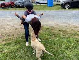 Image result for Annandale Equestrian Centre