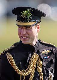 Image result for Cambridge Monarchs