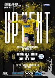 Image result for Buckland & Milber Football Club