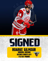 Image result for Glasgow Vipers Roller Hockey Club